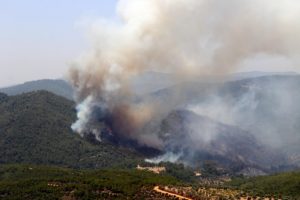 İzmir Bayındır'daki yangın kısmen kontrol altına alındı