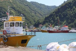 Balık&ccedil;ılar gelecek sezondan umutsuz