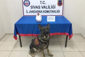 Yaşlı kadının bacaklarına sarılı esrar ele ge&ccedil;irildi