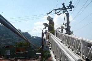 Elektrik direğinden kedi kurtarma operasyonu