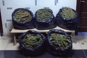 25 kilo esrara 2 g&ouml;zaltı