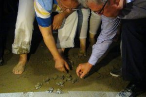 Bakan &Ouml;zhaseki yavru caretta carettaları denizle buluşturdu