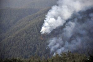 Hatay'da &ccedil;ıkan orman yangını s&uuml;r&uuml;yor