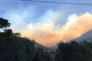 Bodrum'daki yangında 20 hektar alanı k&uuml;l oldu