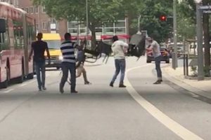 Hamburg'u kana bulayan saldırganı sandalyeyle durdurmuşlar!