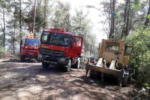 Hatay'daki orman yangını kontrol altına alındı