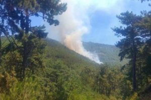 Balıkesir'deki orman yangını kontrol altına alındı