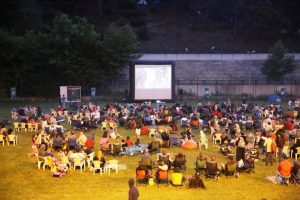 Sinema tutkunları Bursa &Ccedil;alı K&ouml;y Filmleri Festivali'nde buluştu