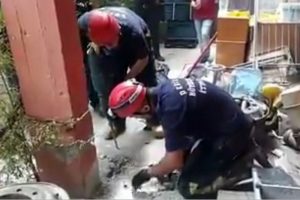 Atık su borusuna giren kediyi betonu delerek kurtardılar