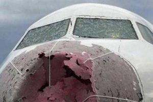 Doluda u&ccedil;ağı sağ salim indiren pilota Rusya'dan davet