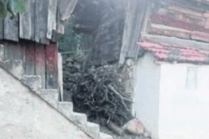 Ablasını yılan zannedip &ouml;ld&uuml;rd&uuml;!