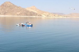 Feribottan yolcuların g&ouml;z&uuml; &ouml;n&uuml;nde baraja atladı