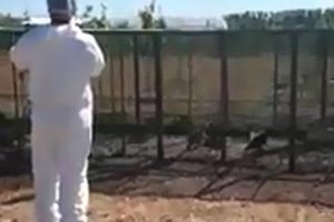 K&ouml;yde korkutan ş&uuml;phe: Karantinaya alındı