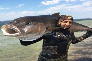 Zıpkınla 68 kilo balık avladı