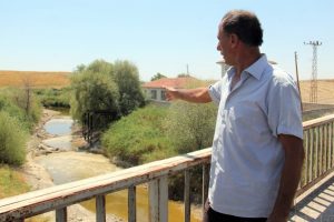 Sakarya Nehri kurudu hayvanlar telef oldu
