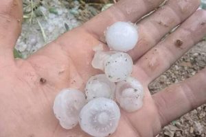 Dolu &uuml;reticiyi perişan etti