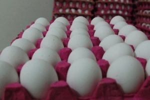 Avrupa'da b&ouml;cek ila&ccedil;lı yumurta alarmı
