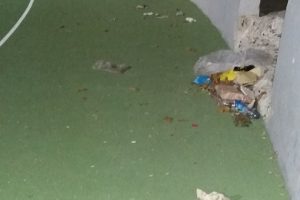 Bursa'da şehrin g&ouml;beği &ccedil;&ouml;pl&uuml;ğe d&ouml;nd&uuml;!