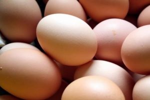 Avrupa'da zehirli yumurta paniği