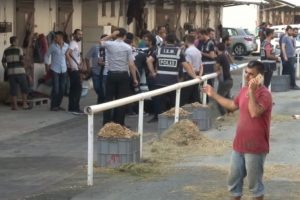 Veliefendi Hipodromu'na operasyon!