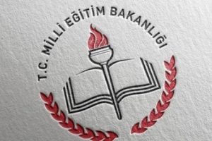 İlk yerli testten 13 bin dahi &ccedil;ıktı