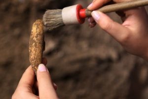 350 bin yıllık kemik par&ccedil;aları bulundu