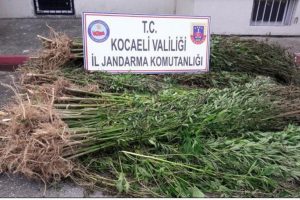Kocaeli'nde 41 kilogram eroin ele ge&ccedil;irildi
