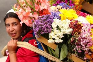 Kolombiya'daki Medellin &Ccedil;i&ccedil;ek Festivali sona erdi