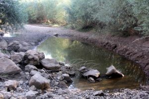 Kızılırmak'ın bir kolu kurudu