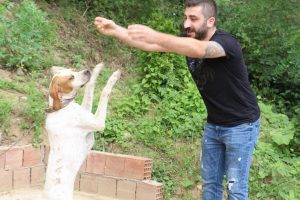 Bu k&ouml;pek kolbastı oynuyor