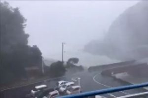 Japonya'da Noru tayfunu: 2 &ouml;l&uuml;, 51 yaralı