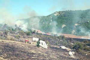 Anız yangını 4 hektar ormanı yaktı
