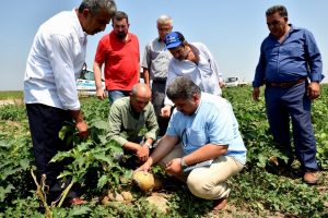 Tarım Komisyonu'ndan Bursa'da 'dolu' seferberliği