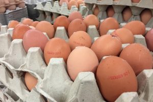 Böcek ilaçlı yumurtalara Hong Kong ve İsviçre'de de rastlandı