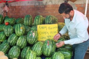 Karpuzcunun kelek bulana 'altın' vaadi işleri ikiye katladı