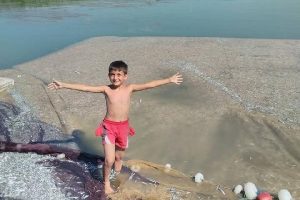 Bursa İznik G&ouml;l&uuml;'nde g&uuml;m&uuml;ş balığı bereketi