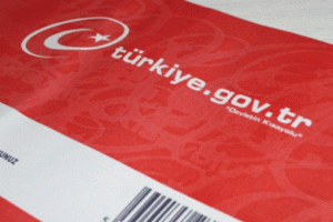 e-devlet'e erişim durdu