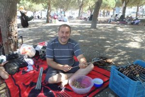 Suriyeli muhacirler Bursa'da piknikte buluştu