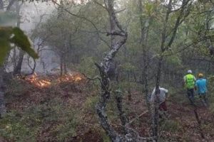 Tunceli Valiliği a&ccedil;ıkladı: Fotoğraflar sahte!