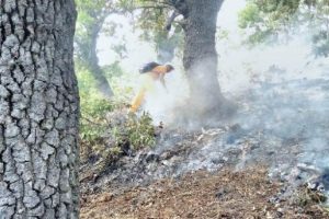 Tunceli'deki orman yangınları kontrol altına alındı