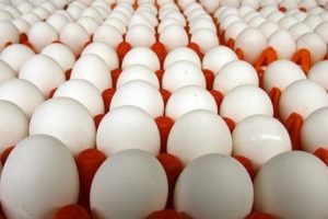 B&ouml;cek ila&ccedil;lı yumurta skandalı Macaristan'a da sı&ccedil;radı!