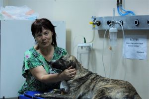 Bursa'da zehirlenen k&ouml;peği taksi ile hastaneye yetiştirdi