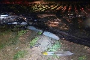 Adana'da insansız hava aracı d&uuml;şt&uuml;