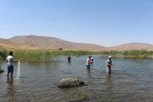 Balık G&ouml;l&uuml; ziyaret&ccedil;i akınına uğruyor