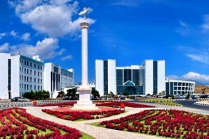 Mide kanseri, &uuml;lser ve lenfomaya iyi geliyor