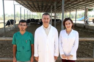 Kurbanlık hayvanın acı &ccedil;ekip &ccedil;ekmediğini araştırdılar