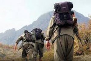 Tunceli'de MLKP &uuml;yesi 2 ter&ouml;rist etkisiz hale getirildi