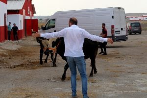 Ka&ccedil;an kurbanlıklar zor anlar yaşattı