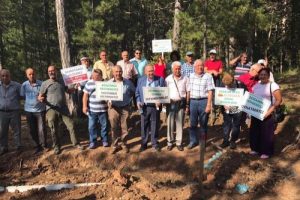 Murat Dağı'nda altın madeni i&ccedil;in ağa&ccedil; kesimine tepki