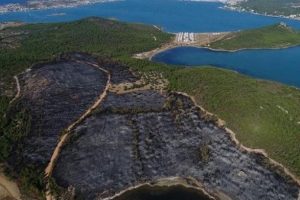 Cennet koydaki yangında b&uuml;y&uuml;k ş&uuml;phe